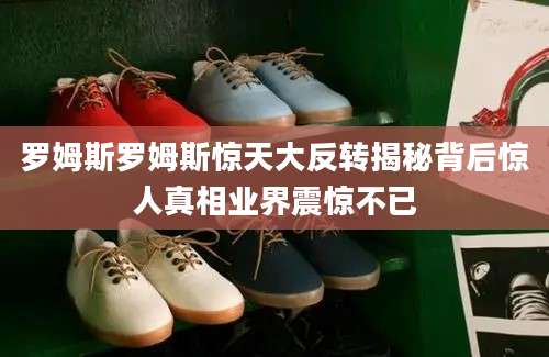 罗姆斯罗姆斯惊天大反转揭秘背后惊人真相业界震惊不已