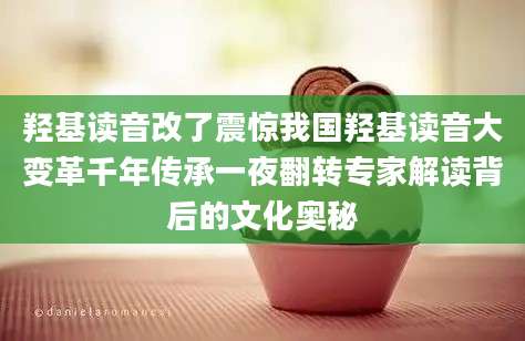 羟基读音改了震惊我国羟基读音大变革千年传承一夜翻转专家解读背后的文化奥秘
