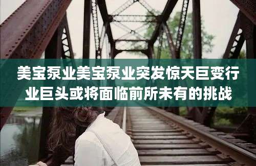 美宝泵业美宝泵业突发惊天巨变行业巨头或将面临前所未有的挑战