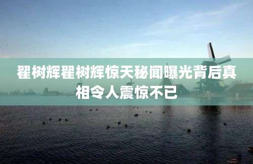 翟树辉翟树辉惊天秘闻曝光背后真相令人震惊不已