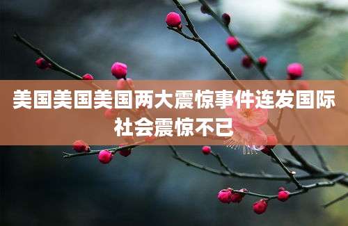 美国美国美国两大震惊事件连发国际社会震惊不已