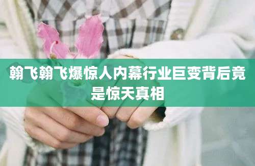 翰飞翰飞爆惊人内幕行业巨变背后竟是惊天真相