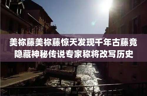 美祢藤美祢藤惊天发现千年古藤竟隐藏神秘传说专家称将改写历史