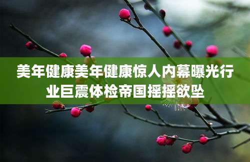 美年健康美年健康惊人内幕曝光行业巨震体检帝国摇摇欲坠