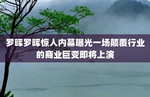 罗晖罗晖惊人内幕曝光一场颠覆行业的商业巨变即将上演