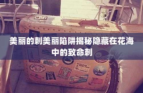 美丽的刺美丽陷阱揭秘隐藏在花海中的致命刺