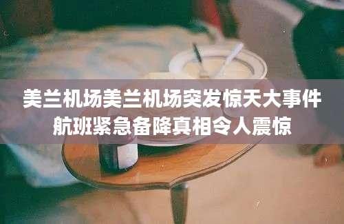 美兰机场美兰机场突发惊天大事件航班紧急备降真相令人震惊