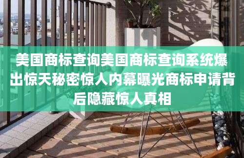 美国商标查询美国商标查询系统爆出惊天秘密惊人内幕曝光商标申请背后隐藏惊人真相