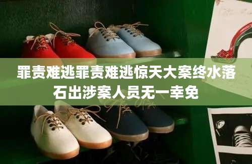 罪责难逃罪责难逃惊天大案终水落石出涉案人员无一幸免