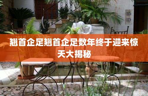 翘首企足翘首企足数年终于迎来惊天大揭秘