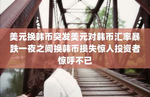 美元换韩币突发美元对韩币汇率暴跌一夜之间换韩币损失惊人投资者惊呼不已