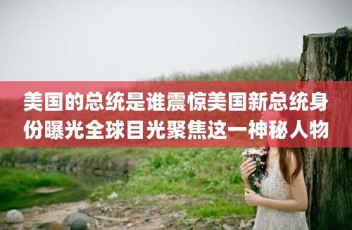美国的总统是谁震惊美国新总统身份曝光全球目光聚焦这一神秘人物