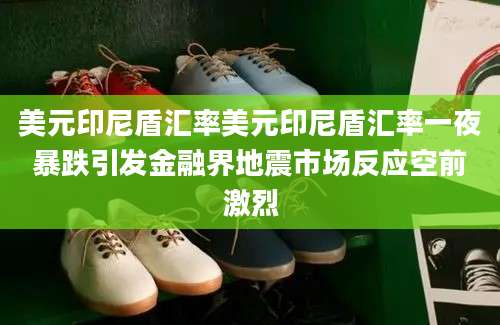 美元印尼盾汇率美元印尼盾汇率一夜暴跌引发金融界地震市场反应空前激烈