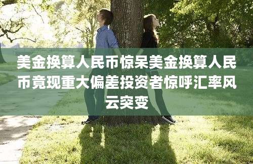 美金换算人民币惊呆美金换算人民币竟现重大偏差投资者惊呼汇率风云突变