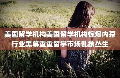 美国留学机构美国留学机构惊爆内幕行业黑幕重重留学市场乱象丛生