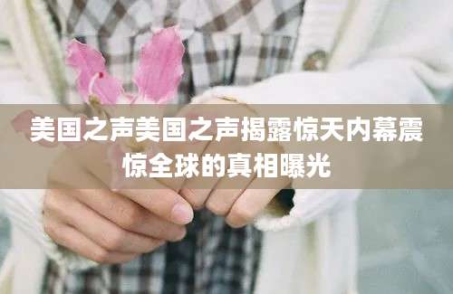美国之声美国之声揭露惊天内幕震惊全球的真相曝光