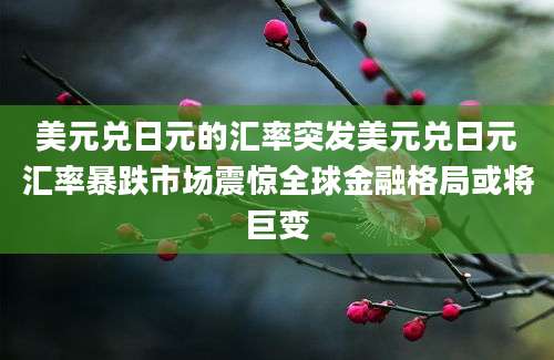 美元兑日元的汇率突发美元兑日元汇率暴跌市场震惊全球金融格局或将巨变