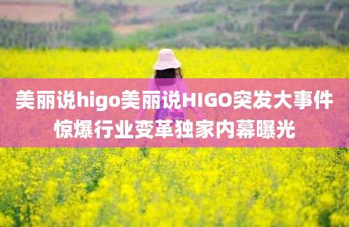 美丽说higo美丽说HIGO突发大事件惊爆行业变革独家内幕曝光