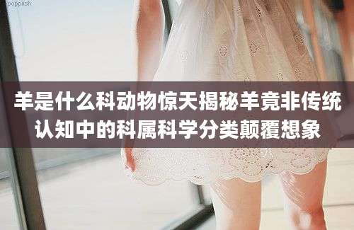 羊是什么科动物惊天揭秘羊竟非传统认知中的科属科学分类颠覆想象