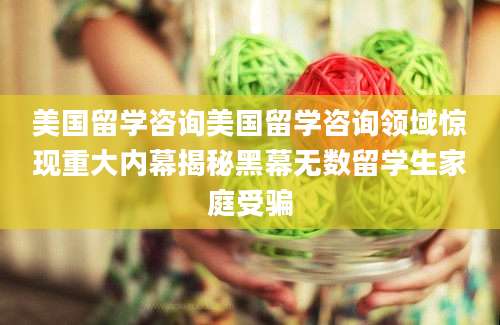 美国留学咨询美国留学咨询领域惊现重大内幕揭秘黑幕无数留学生家庭受骗