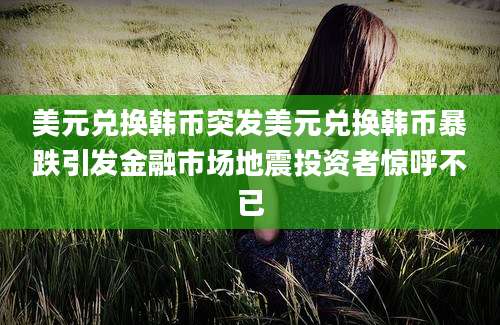 美元兑换韩币突发美元兑换韩币暴跌引发金融市场地震投资者惊呼不已