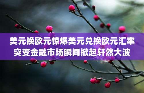 美元换欧元惊爆美元兑换欧元汇率突变金融市场瞬间掀起轩然大波