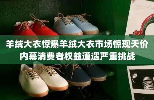羊绒大衣惊爆羊绒大衣市场惊现天价内幕消费者权益遭遇严重挑战