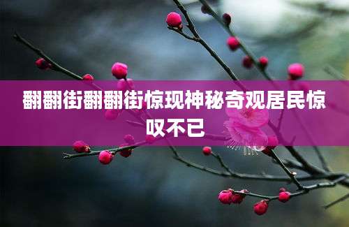 翻翻街翻翻街惊现神秘奇观居民惊叹不已