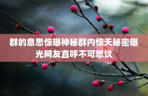 群的意思惊曝神秘群内惊天秘密曝光网友直呼不可思议