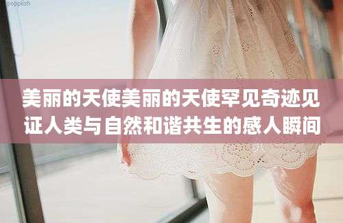 美丽的天使美丽的天使罕见奇迹见证人类与自然和谐共生的感人瞬间