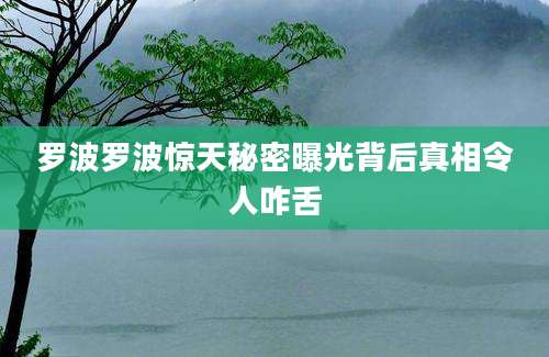 罗波罗波惊天秘密曝光背后真相令人咋舌