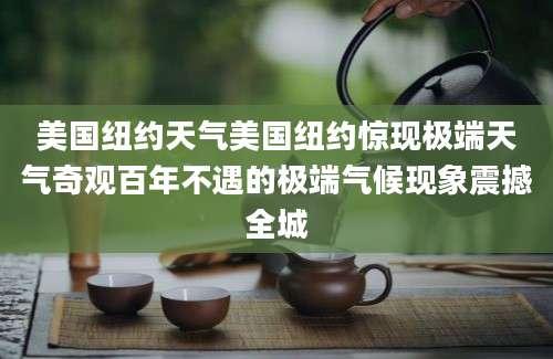 美国纽约天气美国纽约惊现极端天气奇观百年不遇的极端气候现象震撼全城