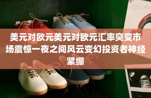美元对欧元美元对欧元汇率突变市场震惊一夜之间风云变幻投资者神经紧绷