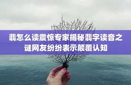 翡怎么读震惊专家揭秘翡字读音之谜网友纷纷表示颠覆认知