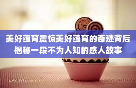 美好蕴育震惊美好蕴育的奇迹背后揭秘一段不为人知的感人故事