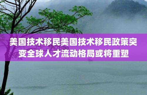 美国技术移民美国技术移民政策突变全球人才流动格局或将重塑