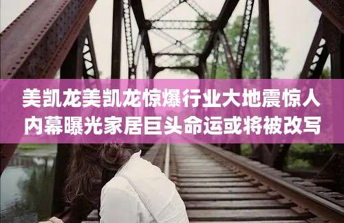 美凯龙美凯龙惊爆行业大地震惊人内幕曝光家居巨头命运或将被改写