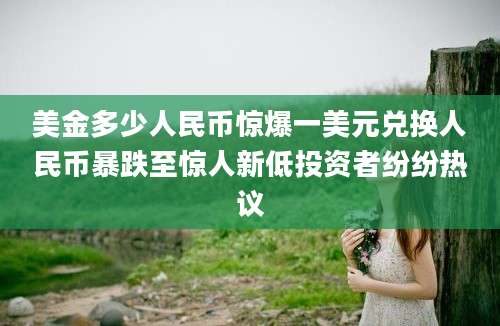 美金多少人民币惊爆一美元兑换人民币暴跌至惊人新低投资者纷纷热议