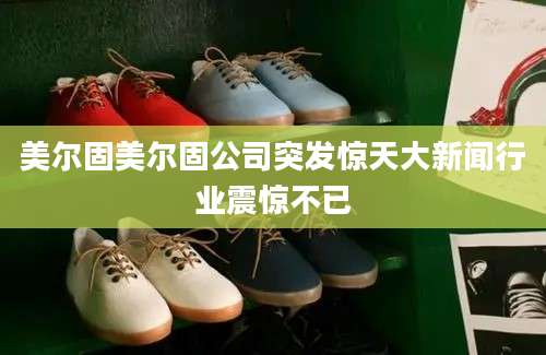 美尔固美尔固公司突发惊天大新闻行业震惊不已