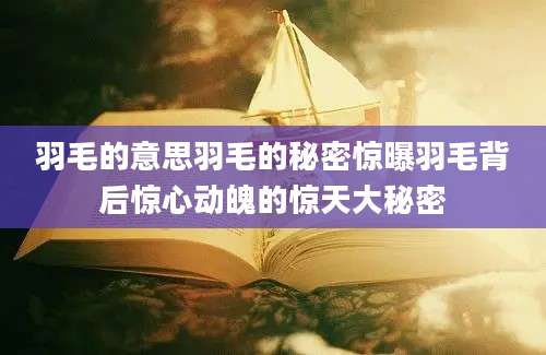 羽毛的意思羽毛的秘密惊曝羽毛背后惊心动魄的惊天大秘密