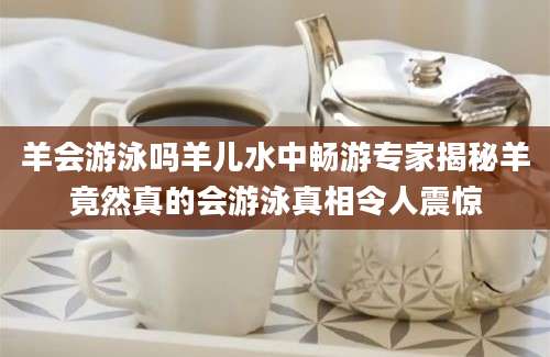 羊会游泳吗羊儿水中畅游专家揭秘羊竟然真的会游泳真相令人震惊