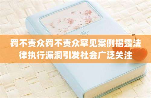 罚不责众罚不责众罕见案例揭露法律执行漏洞引发社会广泛关注
