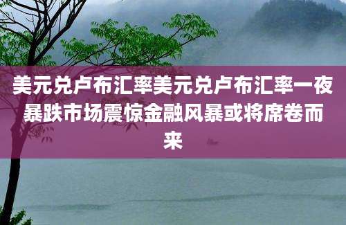 美元兑卢布汇率美元兑卢布汇率一夜暴跌市场震惊金融风暴或将席卷而来