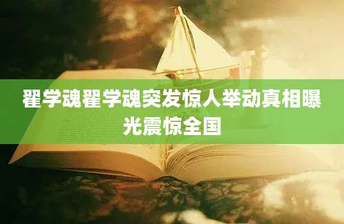 翟学魂翟学魂突发惊人举动真相曝光震惊全国