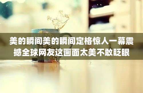 美的瞬间美的瞬间定格惊人一幕震撼全球网友这画面太美不敢眨眼