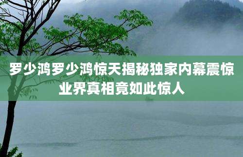 罗少鸿罗少鸿惊天揭秘独家内幕震惊业界真相竟如此惊人