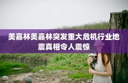 美嘉林美嘉林突发重大危机行业地震真相令人震惊