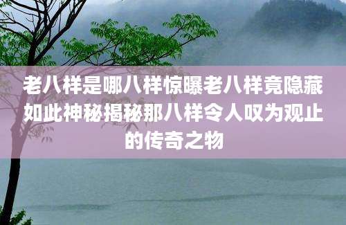 老八样是哪八样惊曝老八样竟隐藏如此神秘揭秘那八样令人叹为观止的传奇之物
