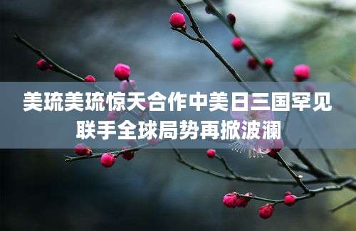 美琉美琉惊天合作中美日三国罕见联手全球局势再掀波澜