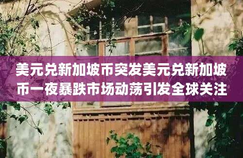 美元兑新加坡币突发美元兑新加坡币一夜暴跌市场动荡引发全球关注